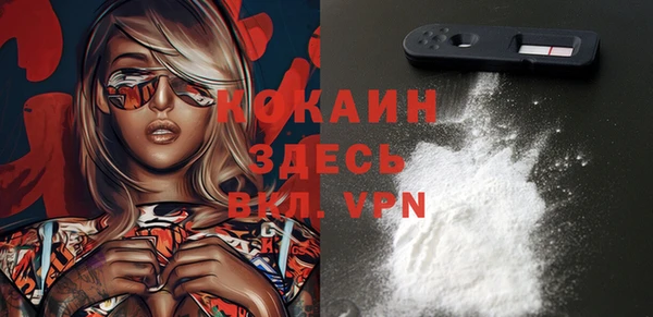 прущие грибы Навашино