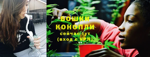 индика Ахтубинск