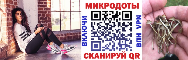 Галлюциногенные грибы мухоморы  где можно купить   Полярный 